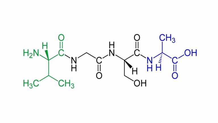 Read more about the article The science of beauty and the power of peptides provided by MEDIBLESS in fact is offering a definitely long-lasting effect